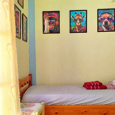 Vakantiehuis Aeolian Mode Beachfront 4 Beds 2 Bedrooms Perfect Spot